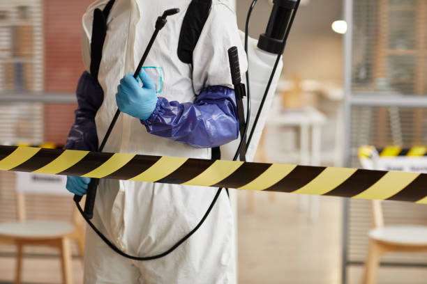 Professional Sewage Cleanup technician working in Wayne, IL